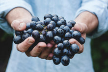 Huile de pépin de raisins