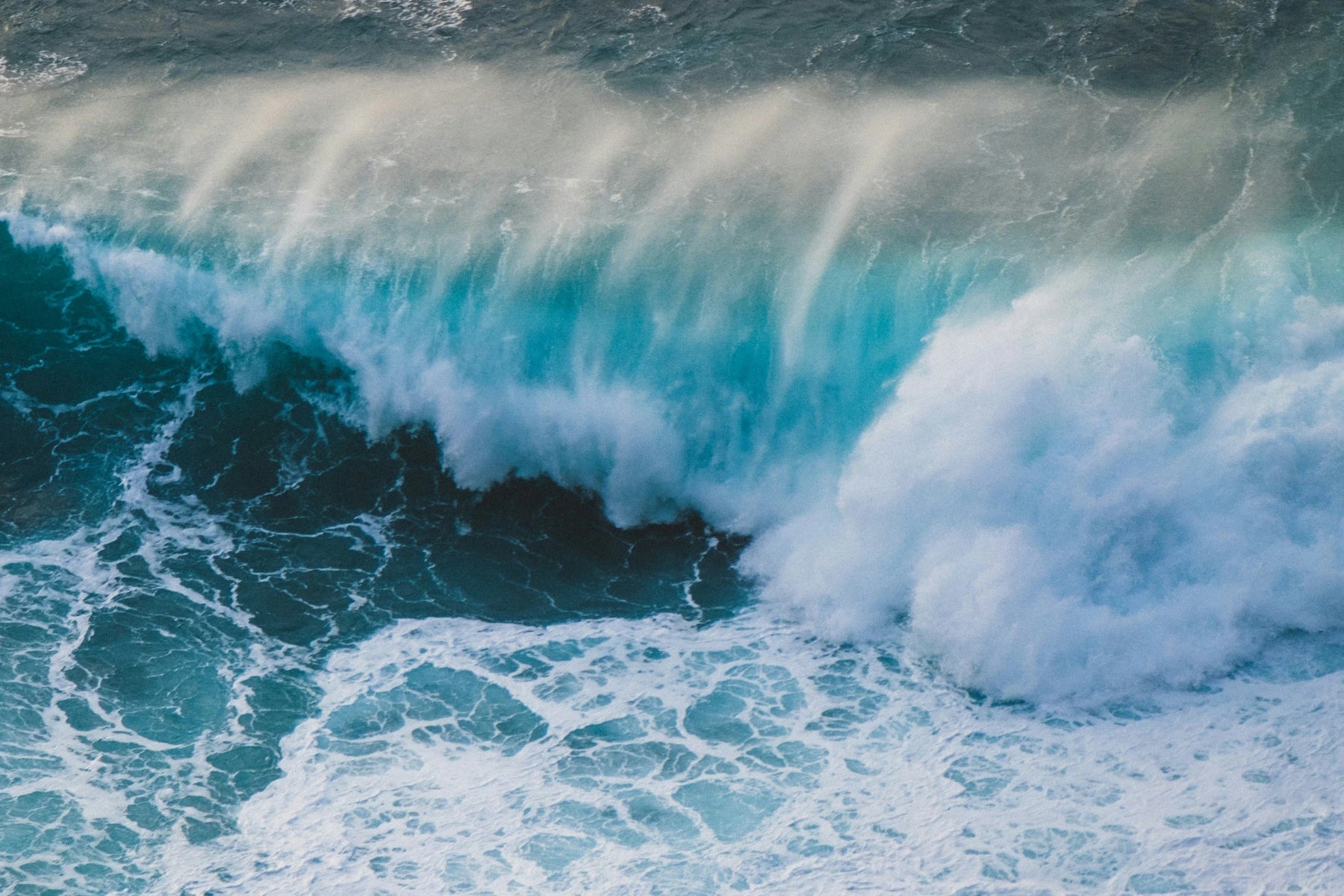 Puissance ocean mer d iroise actifs naturels cosmetiques